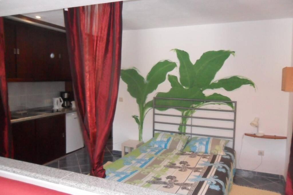 Studio Mira Abragao Exteriér fotografie